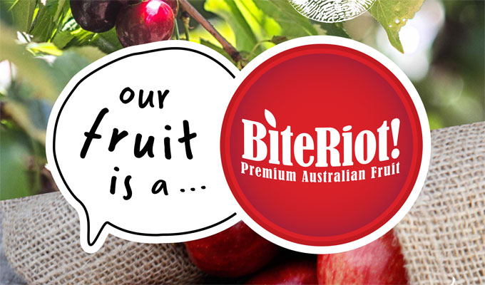 Australia: BiteRiot! preparing to send cherries directly to the Chinese Market